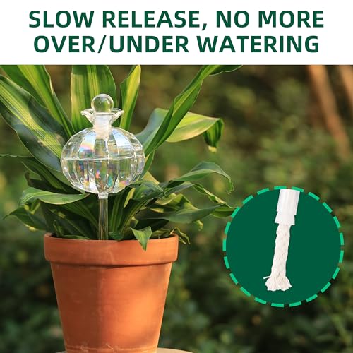 10 oz Large Top Fill Cactus Plant Watering Globes (4 Count)