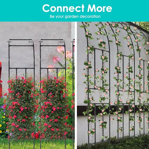 Half Side Garden Arch Trellis