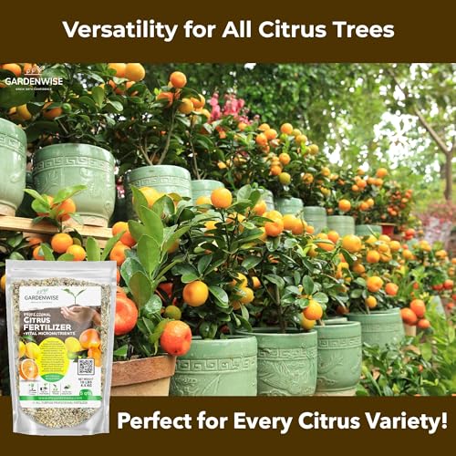 Professional Citrus Fertilizer + Vital Micronutrients; Perfect Balanced NPK for All Citrus; for Indoor and Outdoor Plants; Orange (96 Ounce)