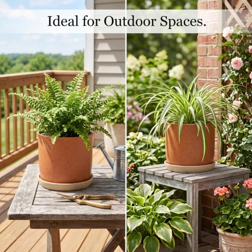 5.8 Inch Ceramic Plant Pot with Drainage Hole & Separate Saucer (Terracotta / 6 inch)