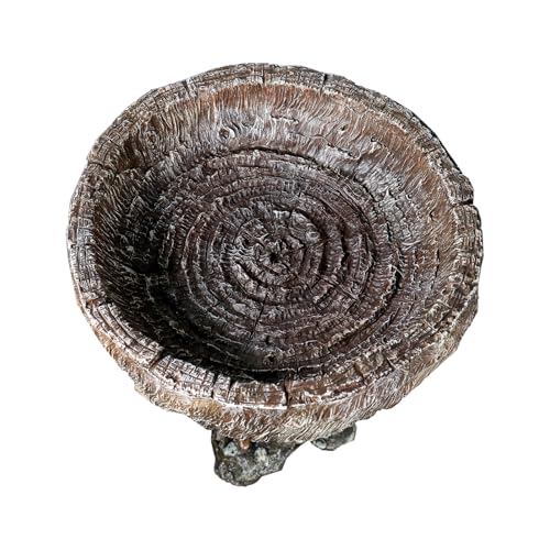 Bird Baths for Outdoor (24.4 inch H)