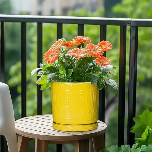 Ceramic Plant Saucer (7.5 Inch / Yellow)
