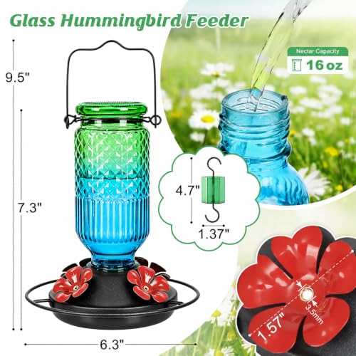 Glass Hummingbird Feeder for Outdoors (Green-Blue Ombre)