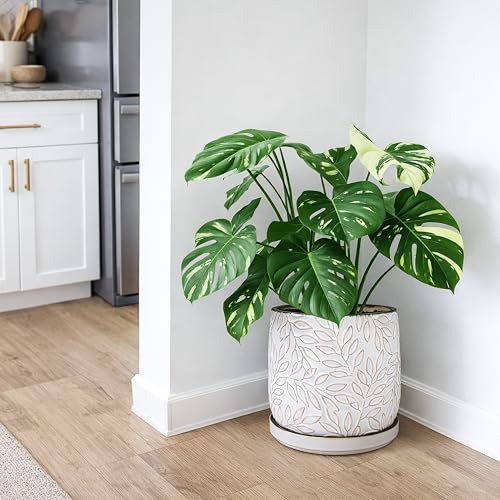 Embossed Leaves Ceramic Planter (10 Inch / Smoked White)