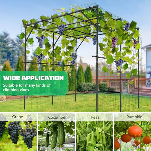 79" H x 79" L Garden Arch Trellis (79" L x 79" W x 79" H)