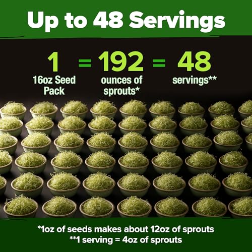Non GMO Alfalfa Sprout Seeds 16oz Bulk Pack with Thousands of Seeds Alfalfa for Sprouting & Microgreens Indoor Outdoor Growing Resealable Bag High Germination (16 Ounce)
