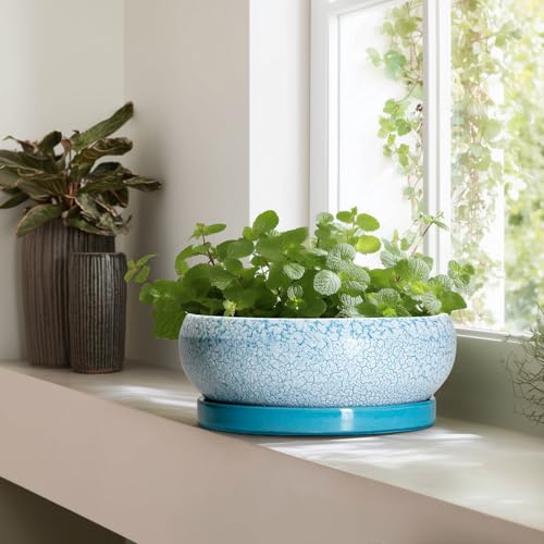 Bonsai Pots 13 Inch Ceramic Succulent Pots with Drainage Hole and Tray (13 Inch / Blue-white)
