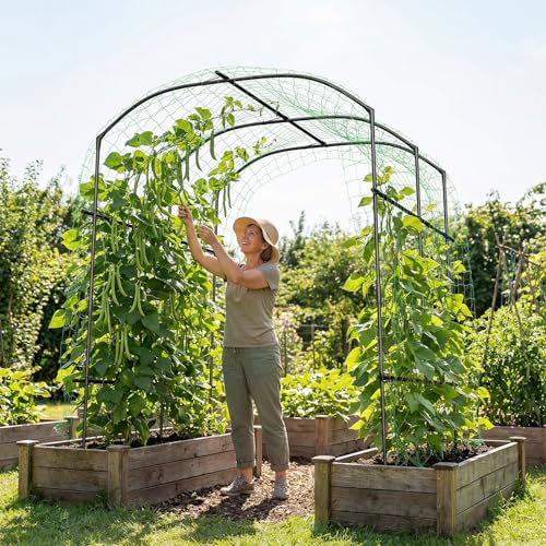87''H x 75''L Garden Arch Trellis (75'' L x 71'' W x 87'' H/Black)