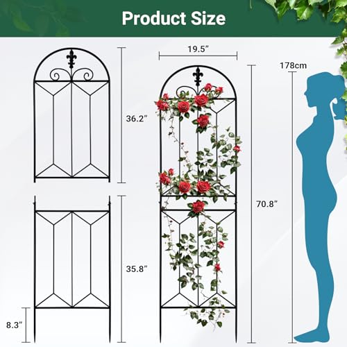 2 Pack Metal Garden Trellis Outdoor