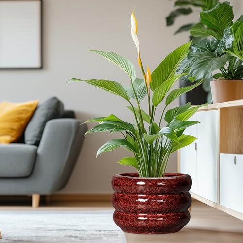 Ceramic Planters for Indoor Plants (13 Inch / Leopard Print Red)