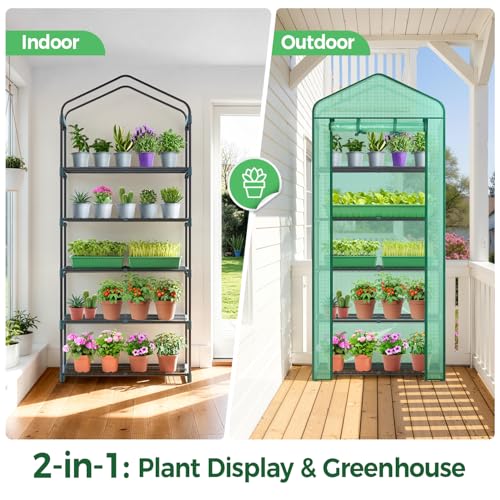 Mini Greenhouse for Indoor Outdoor (Green / 5 Tier Single Layer Roof)