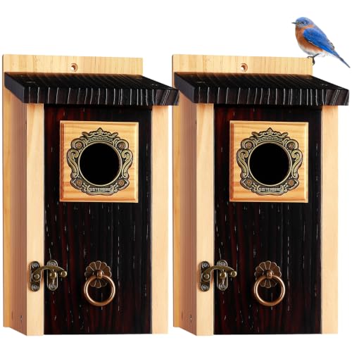 2 Pack Bluebird Houses for Outside (Deeply Burnt Vintage Hue -- 2PK)