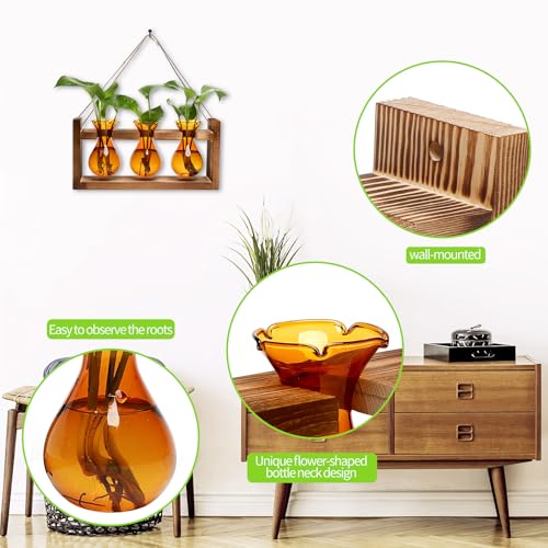 Plant Propagation Station Plant Terrarium Unique Birthday Gifts for Women