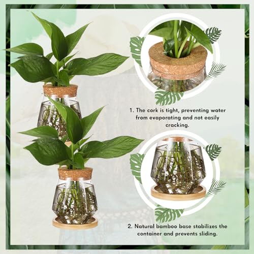 12 Pack Propagation Vases for Plants (Cup Style)