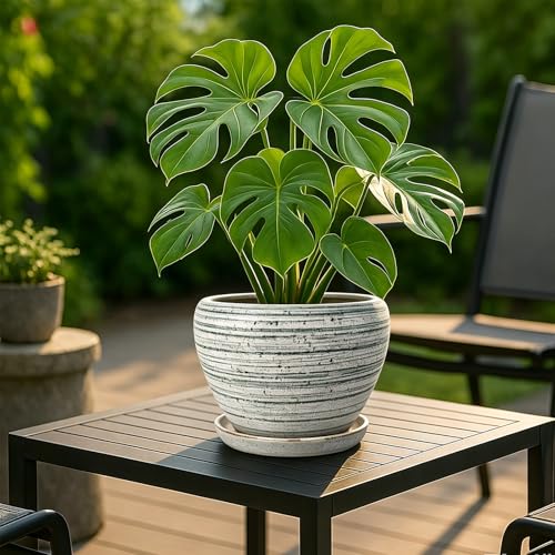 8 Inch Plant Pots (Brushed Green / 8 Inch)