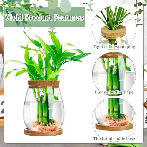 6 Pcs Glass Plant Propagation Station with Wood Lid & Stand (Classic)