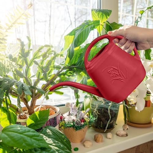 Hand Watering Can (Wine Red)