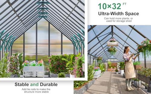 32x10x10 FT Polycarbonate Greenhouse for Outdoors w