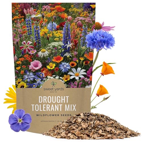 Drought Tolerant Wildflowers Mix (4 Ounce)