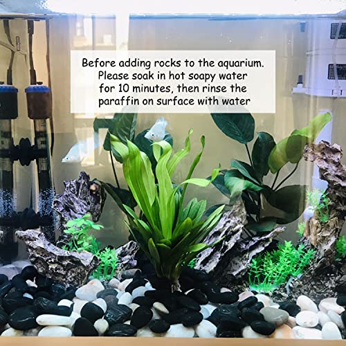 10 lbs Black Pebbles for Landscaping