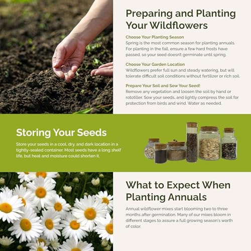 Cloud 9 Flower Mixed Seeds for Planting (1 Pound / Cloud 9)