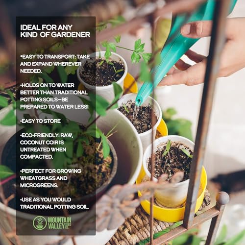 Minute Soil Eco