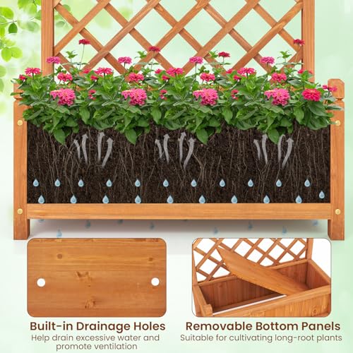 Raised Garden Bed with Trellis Set of 2 (Orange / 28"Lx13"Wx60"H)