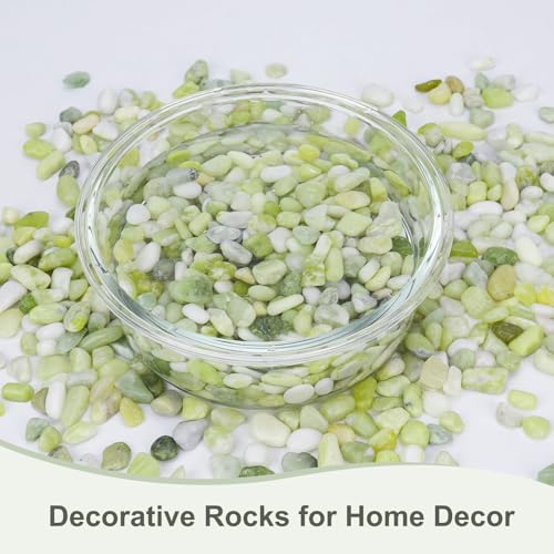 5 lbs Jade Pebbles for Indoor Plants
