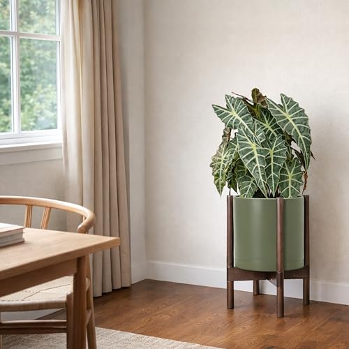 Plastic Pot with Walnut Wood Stand (Olive Pot + Walnut Color Stand / 10 Inch)