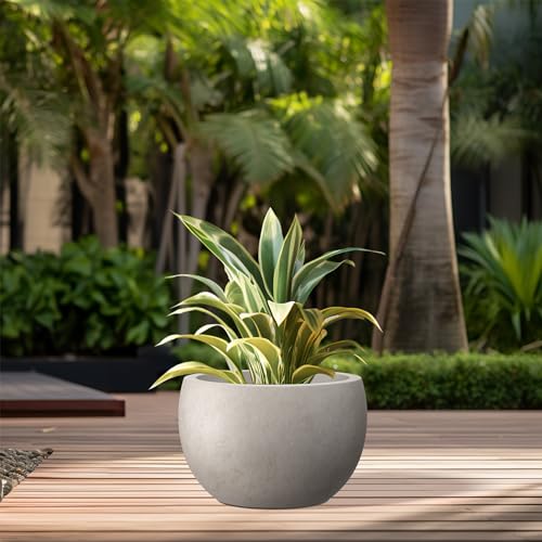 Small Round Bowl Weathered Concrete Planter 11.8" Dia (Weathered Concrete / 11.8" d)