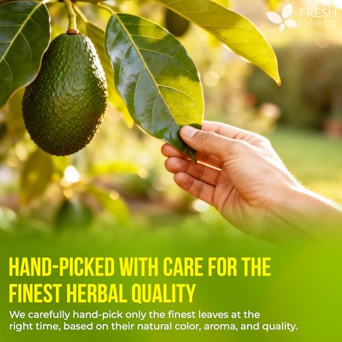 Premium Avocado Leaf Tea Bags (40 Tea Bags)