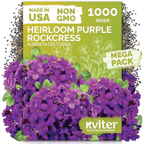 1 000 Purple Rock Cress Heirloom Flower Seeds