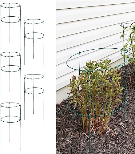 5 Pack 36" x 18" Peony Double Ring Plant Support (Double ring 5pack)
