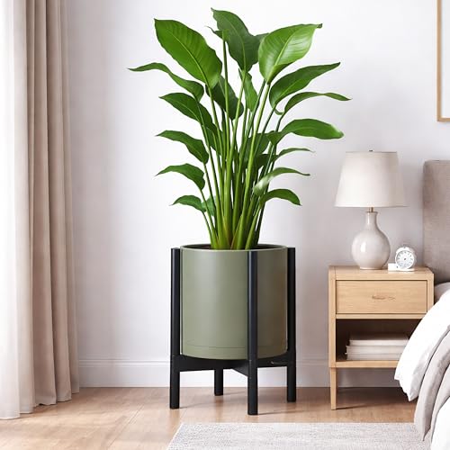 Plastic Pot with Ebony Wood Stand (Olive Pot + Ebony Stand / 12 Inch)