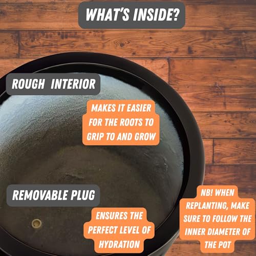 Large Planter for Indoor or Outdoor (Matte Black / 14.6 Inch)