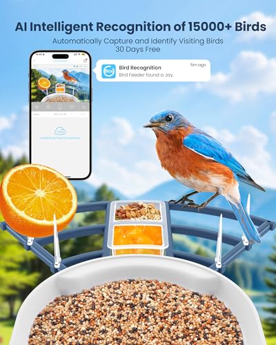 Smart Bird Feeder with Camera (Blue01)