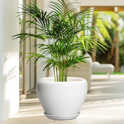 Ceramic Pot for Plants (10 Inch / Glossy White)