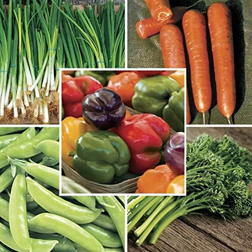 Park Seed Stir Fry Vegetable Seed Collection – Non-GMO Garden Kit with Broccoli, Snap Peas, Carrots, Sweet Peppers & Green Onions – Nutrient-Dense Superfoods for Cooking, Total of 1,605 Seeds