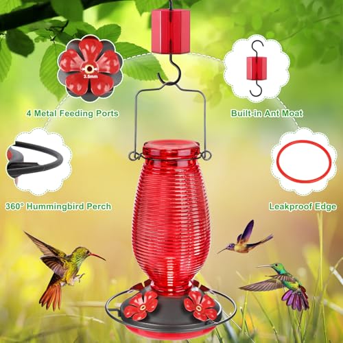 Glass Hummingbird Feeder for Outdoors Hanging