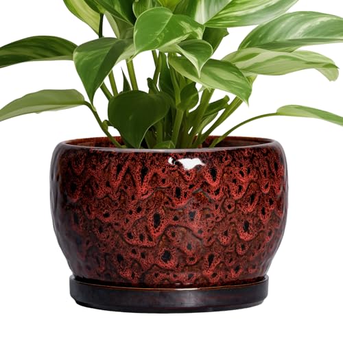 Ceramic Plant Pots