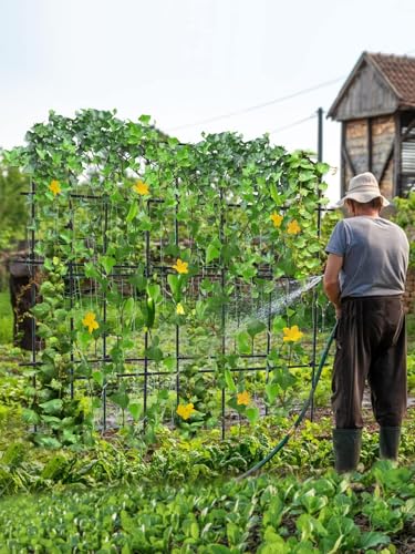 6FT Garden Trellis for Climbing Plant