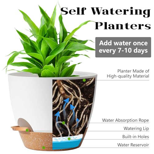 Plant Pots 12+10+9 Inch Self Watering Pots with Drainage Hole for Indoor Plants Large Flower Pot (3 Count)