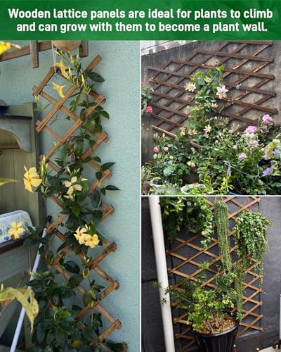 2 Pack 35.4InchWooden Lattice Wall (2 Packs / 1.5 x 7.2 ft)