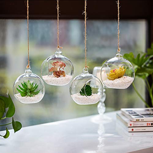 Hanging Glass Terrarium Planters (4 Count)