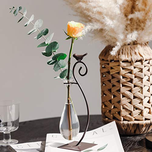 Desktop Glass Planter Hydroponics Vase