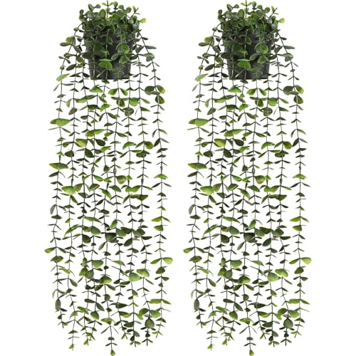 2Pcs Fake Hanging Plants with Pot (Eucalyptus Vines / 2Pcs Plants with Pot)
