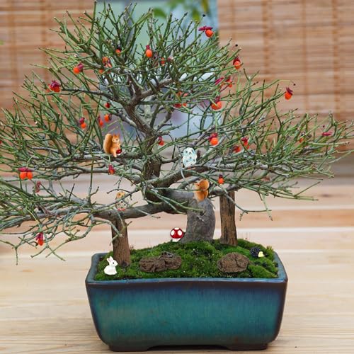 36 Pcs Fairy Garden Accessories for Miniature Landscape Ornaments (36 Count)