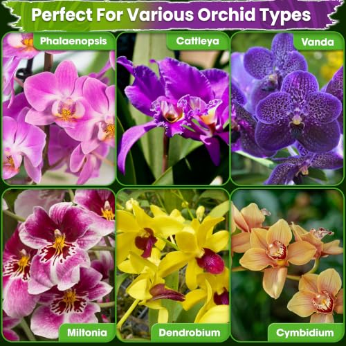 4in1 Orchid Potting Mix for Repotting (Orchid Potting Mix 1 Quart)