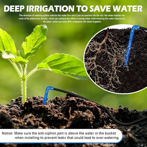 Solar Drip Irrigation System