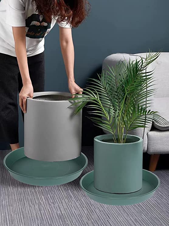 2 Pack of 10 inch Plant Saucer Gray (10" (2 pack) / Green)